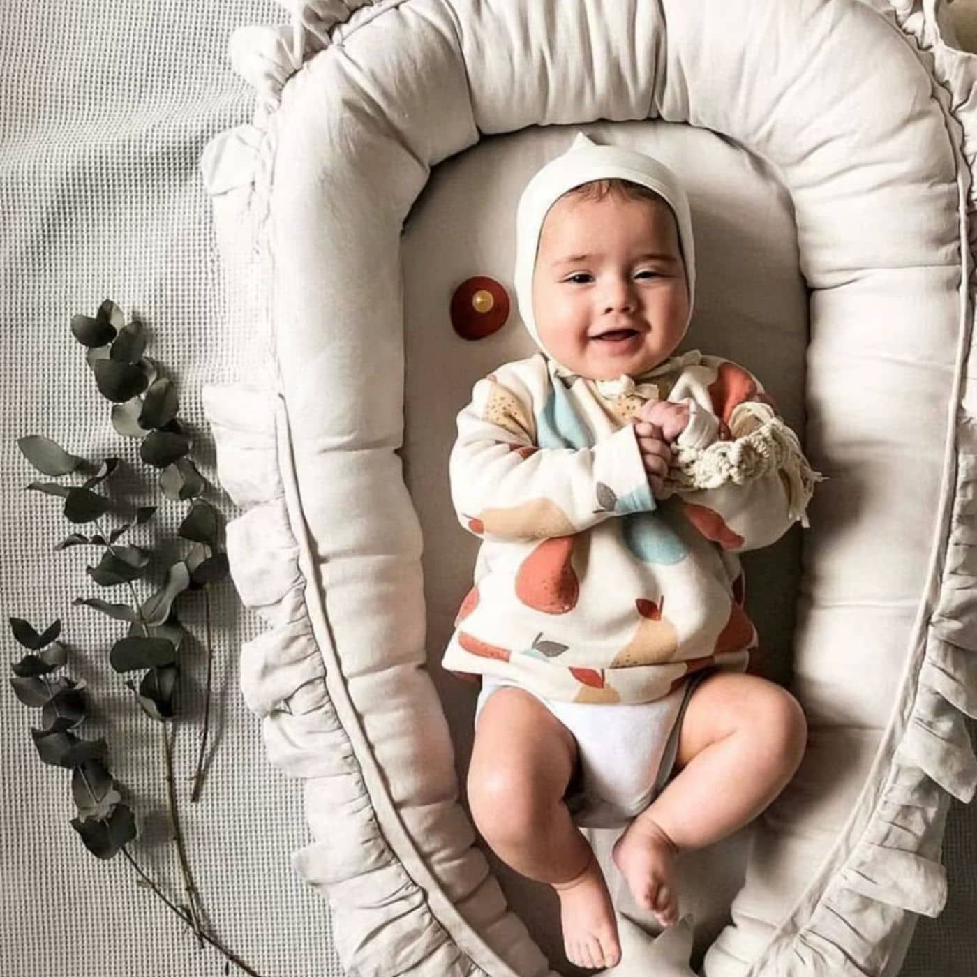 Dream Cribs Baby Nest