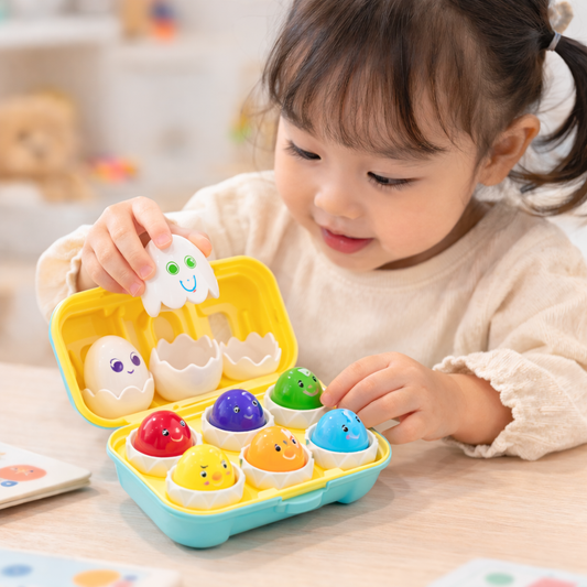 Montessori 3D Egg Sorting Puzzle Game for Kids