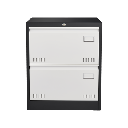 2 Drawer Metal Lateral File Cabinet with Lock Office Vertical Files Cabinet for Home Office/Legal/Letter/A4