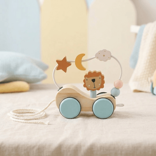 Montessori Wooden Pull Toy