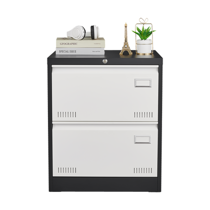 2 Drawer Metal Lateral File Cabinet with Lock Office Vertical Files Cabinet for Home Office/Legal/Letter/A4