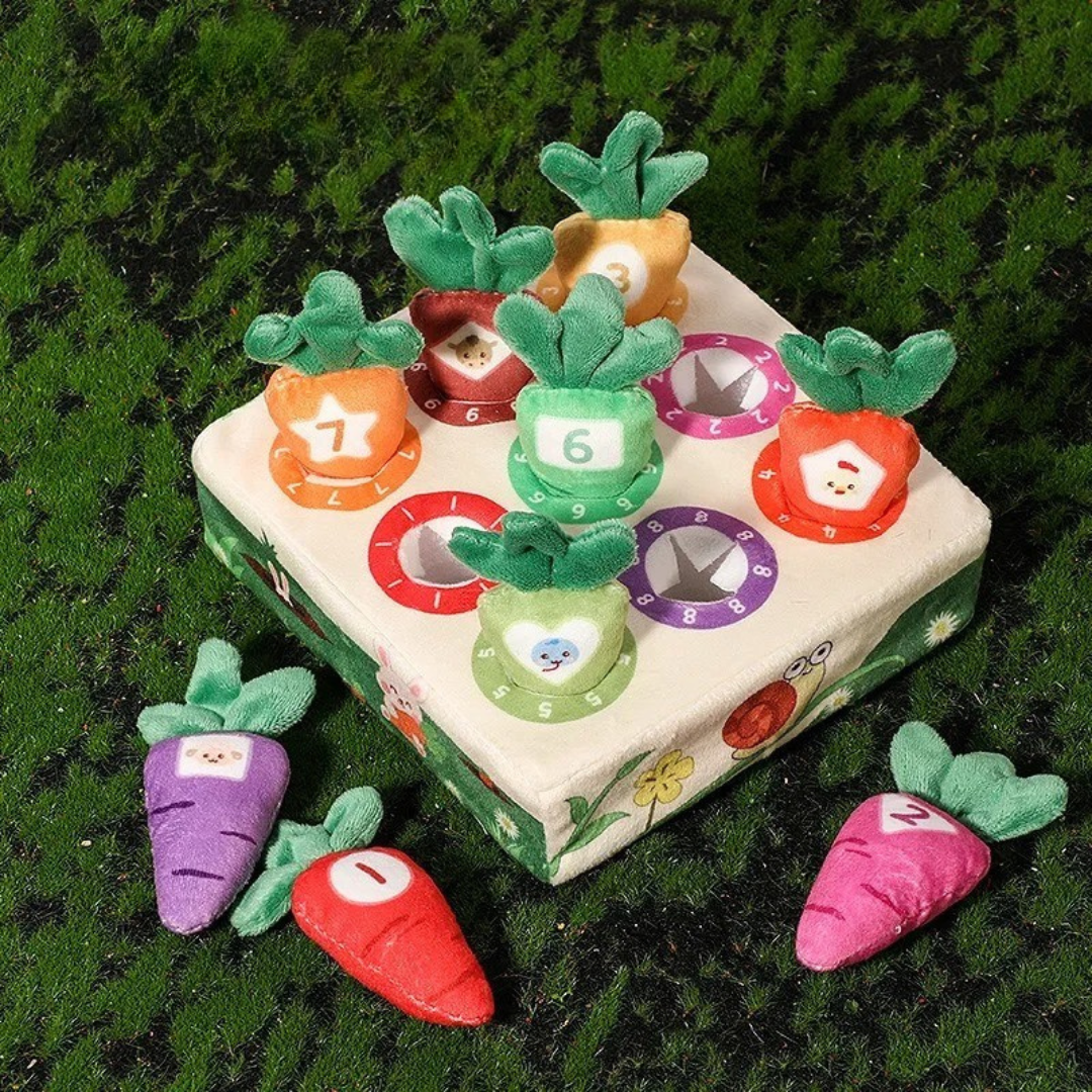 Sensory Carrots – Feel & Pick - sensory toys