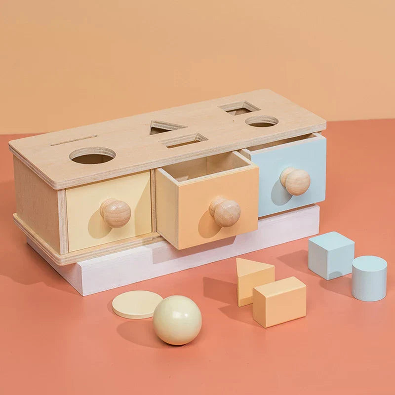 Montessori Shaped Storage Drawers Organizer