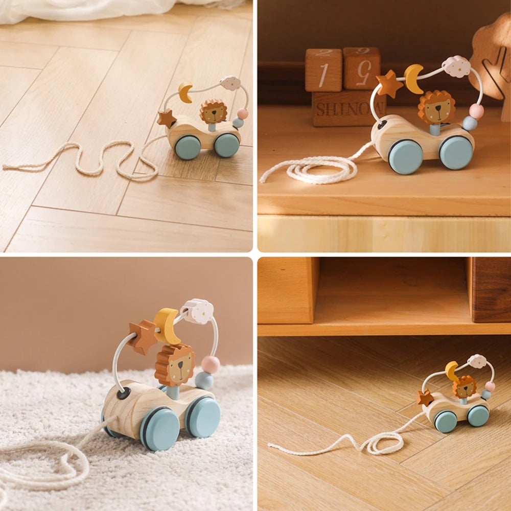 Montessori Wooden Pull Toy