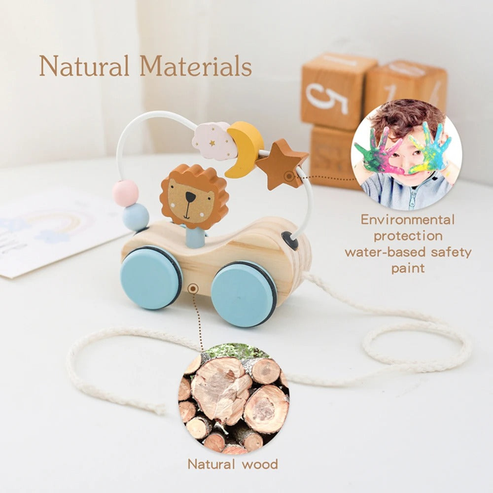 Montessori Wooden Pull Toy