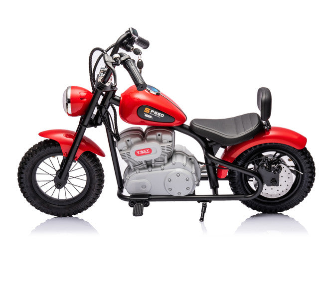 Single Rider Cruiser Bike 36V