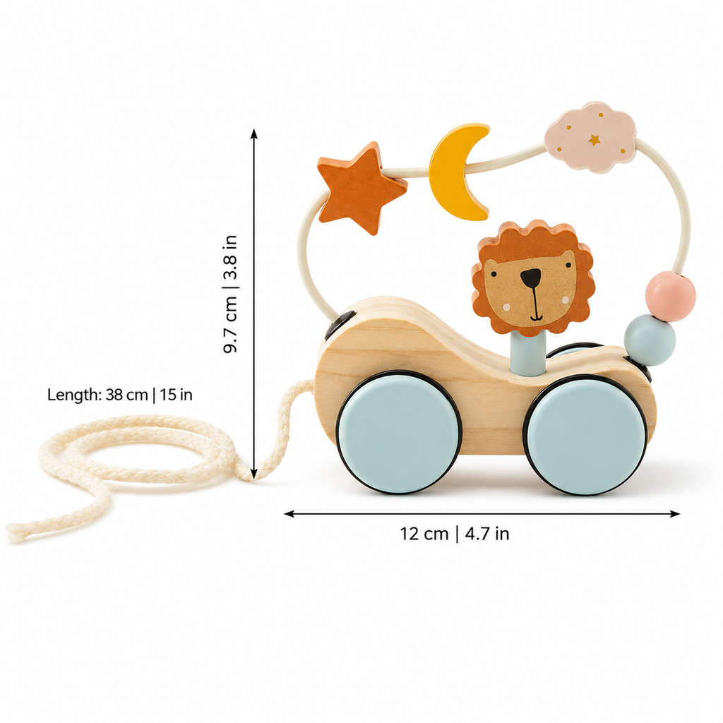 Montessori Wooden Pull Toy
