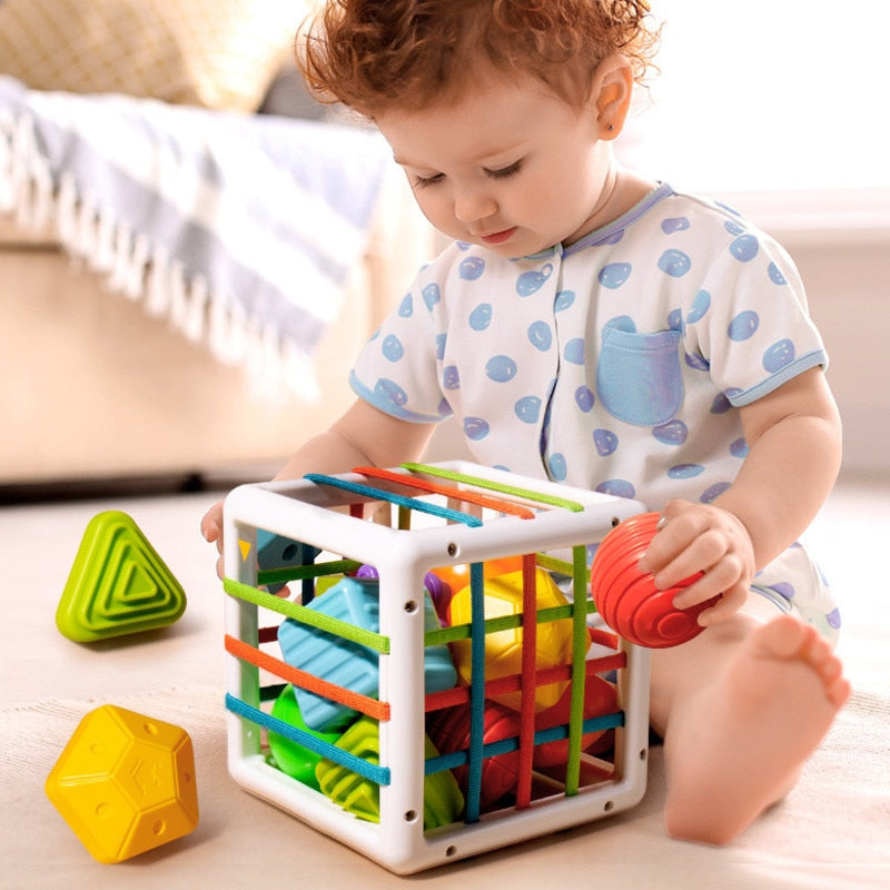 Montessori Educational Activity Box for Kids