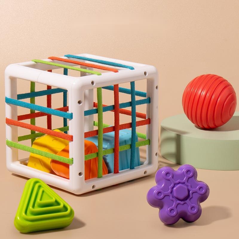 Montessori Educational Activity Box for Kids