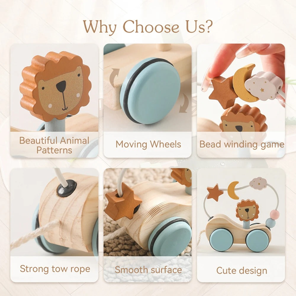 Montessori Wooden Pull Toy