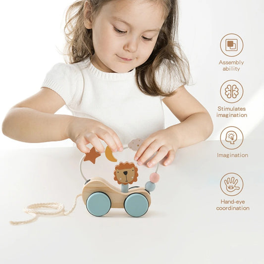 Montessori Wooden Pull Toy