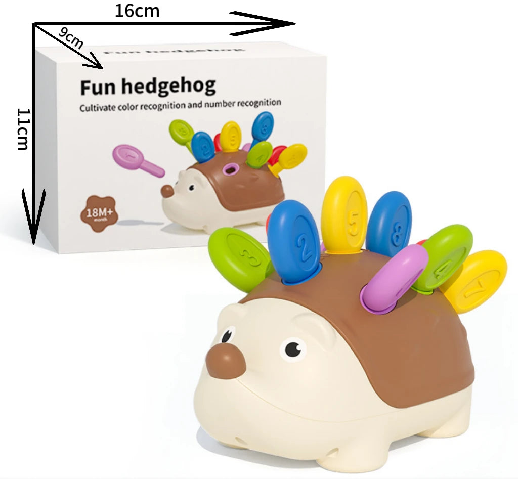 Montessori Hedgehog Toy
