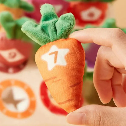 Sensory Carrots – Feel & Pick - sensory toys