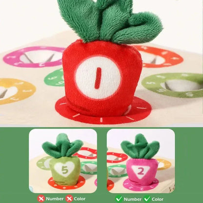 Sensory Carrots – Feel & Pick - sensory toys