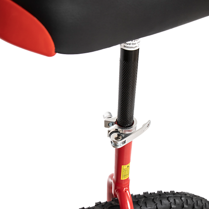 24'' Pro Circus Unicycle Bike